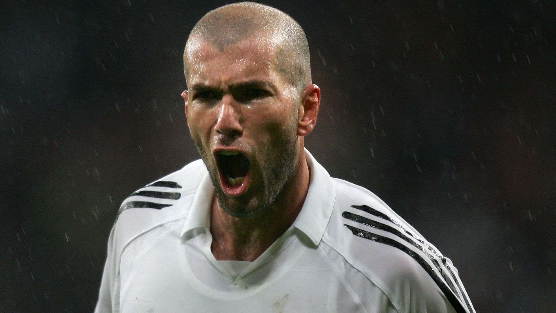 人能力也让 人能力也让